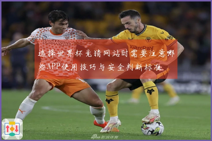 选择世界杯竞猜网站时需要注意哪些APP使用技巧与安全判断标准