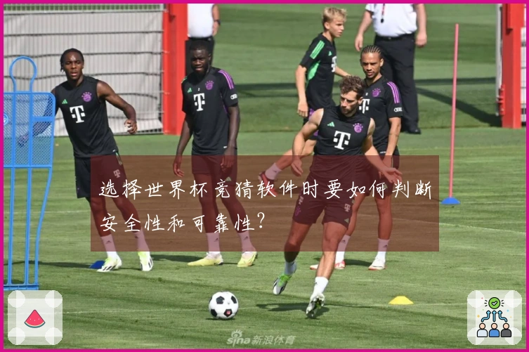 选择世界杯竞猜软件时要如何判断安全性和可靠性？