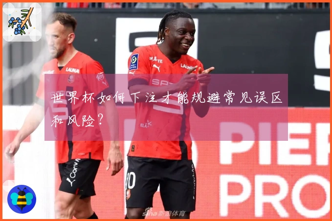 世界杯如何下注才能规避常见误区和风险？