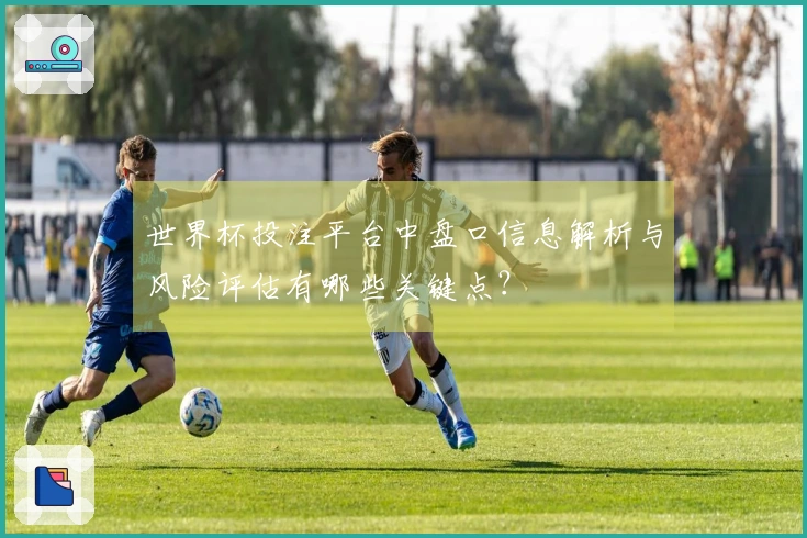 世界杯投注平台中盘口信息解析与风险评估有哪些关键点？
