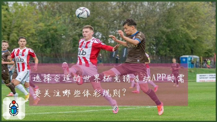 选择合适的世界杯竞猜活动APP时需要关注哪些体彩规则？