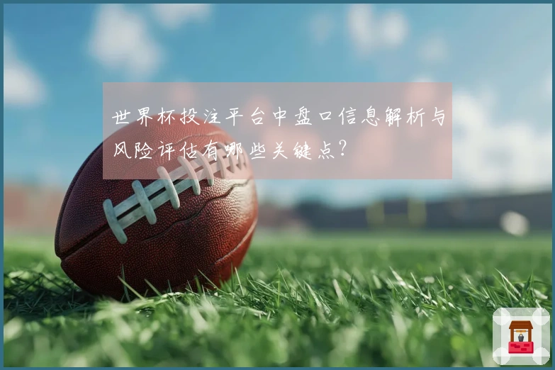 世界杯投注平台中盘口信息解析与风险评估有哪些关键点？
