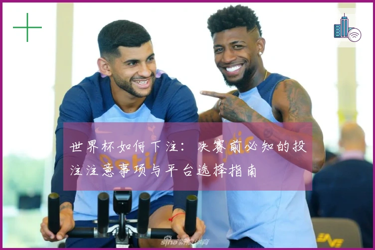 世界杯如何下注：决赛前必知的投注注意事项与平台选择指南