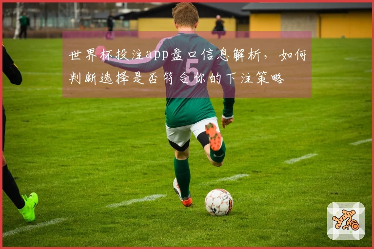 世界杯投注app盘口信息解析，如何判断选择是否符合你的下注策略