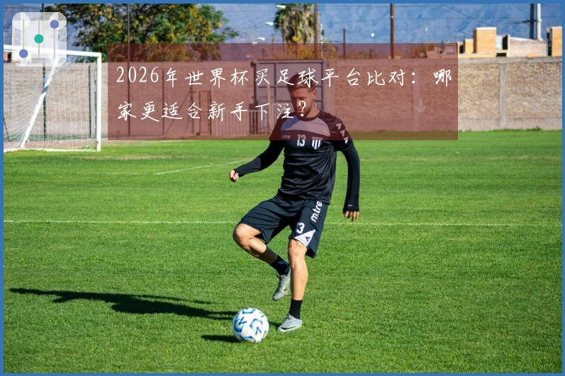 2026年世界杯买足球平台比对：哪家更适合新手下注？