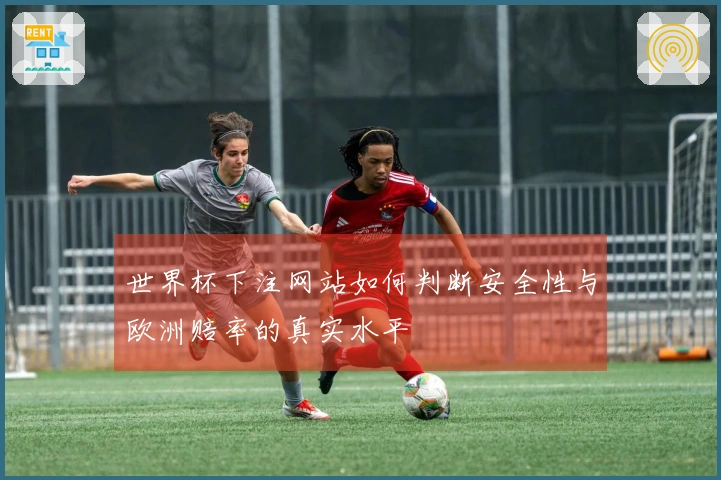 世界杯下注网站如何判断安全性与欧洲赔率的真实水平