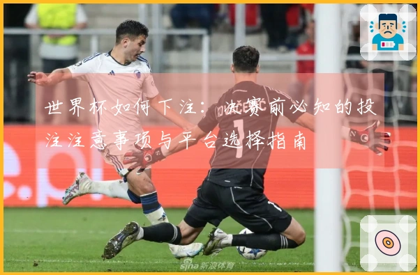 世界杯如何下注：决赛前必知的投注注意事项与平台选择指南