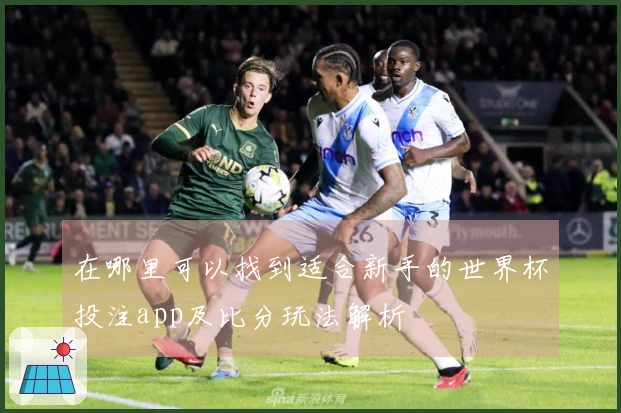 在哪里可以找到适合新手的世界杯投注app及比分玩法解析