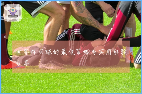 世界杯买球的最佳策略与实用经验分享
