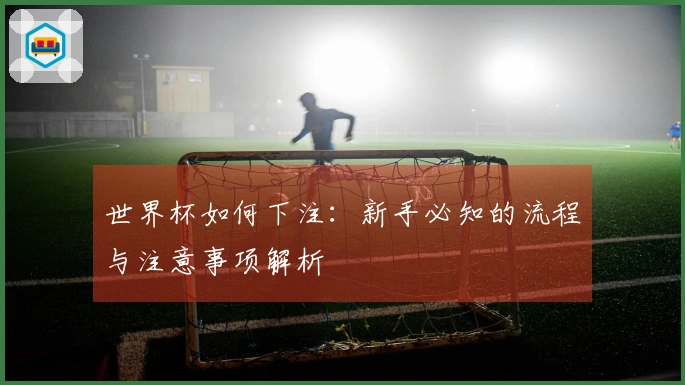 世界杯如何下注：新手必知的流程与注意事项解析